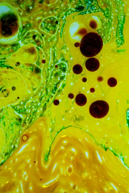 Змішення рослинних та тваринних жирів