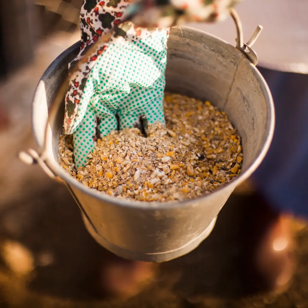 Індивідуальні рішення кормів